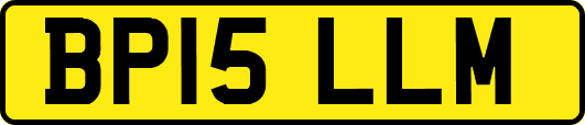 BP15LLM