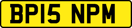 BP15NPM