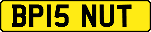 BP15NUT