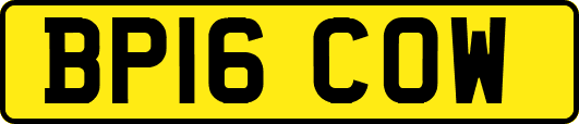 BP16COW