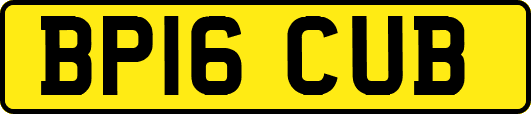 BP16CUB