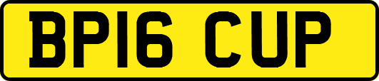 BP16CUP