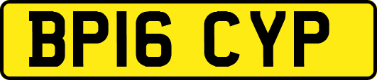 BP16CYP