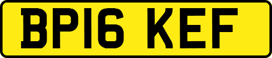 BP16KEF