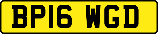 BP16WGD