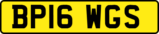 BP16WGS