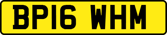BP16WHM