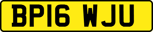 BP16WJU