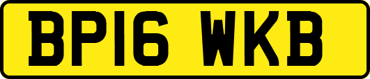 BP16WKB