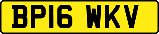 BP16WKV