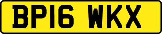 BP16WKX