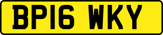 BP16WKY