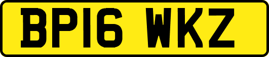 BP16WKZ