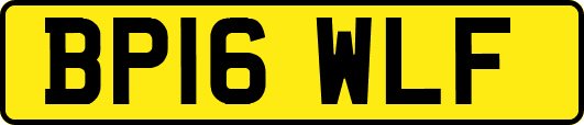 BP16WLF