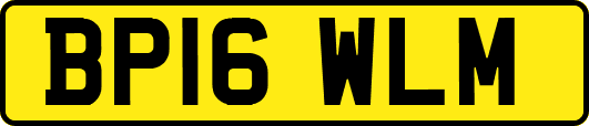 BP16WLM