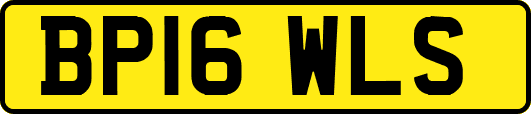 BP16WLS