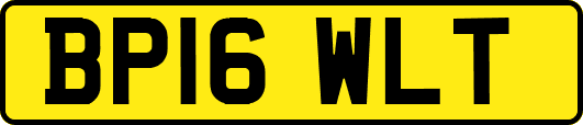 BP16WLT