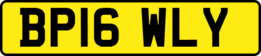 BP16WLY