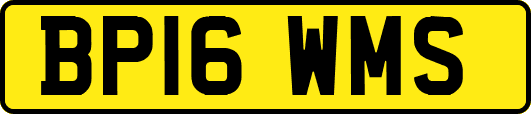 BP16WMS