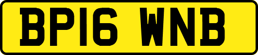 BP16WNB