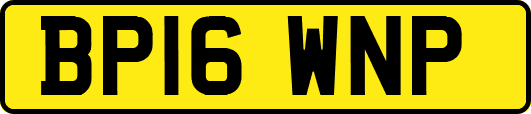 BP16WNP