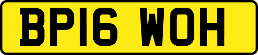 BP16WOH