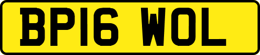 BP16WOL