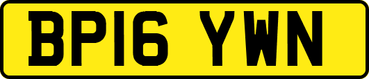 BP16YWN