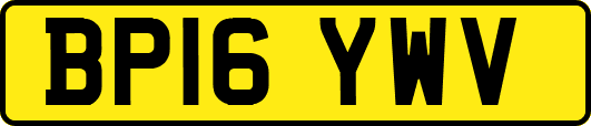 BP16YWV