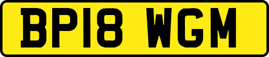 BP18WGM