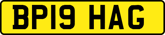BP19HAG