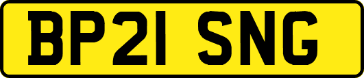 BP21SNG