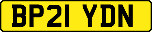 BP21YDN