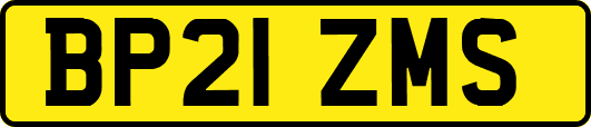 BP21ZMS