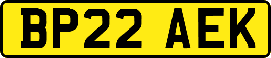 BP22AEK