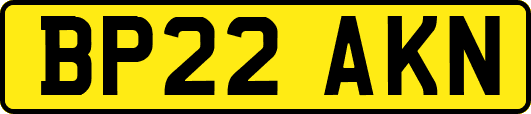 BP22AKN
