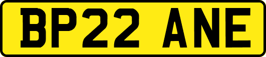 BP22ANE