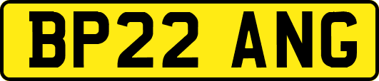 BP22ANG