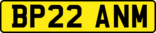 BP22ANM