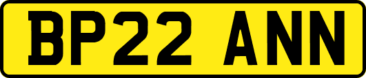 BP22ANN