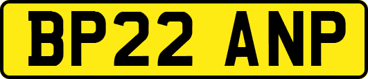 BP22ANP