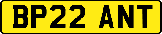 BP22ANT