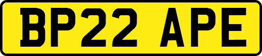 BP22APE