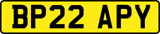 BP22APY