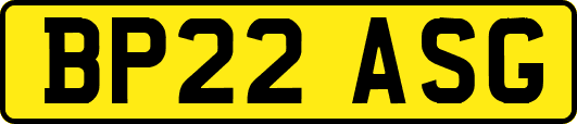 BP22ASG