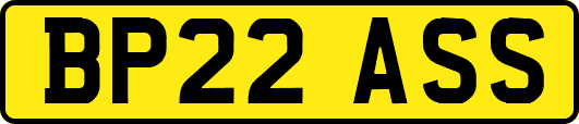 BP22ASS