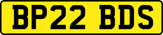 BP22BDS