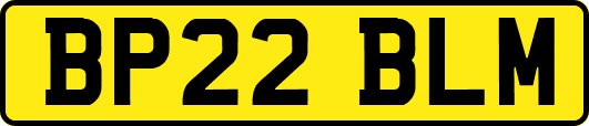 BP22BLM