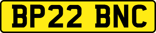 BP22BNC