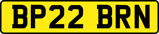 BP22BRN